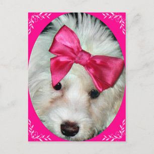 Puppy Love_ Postcard