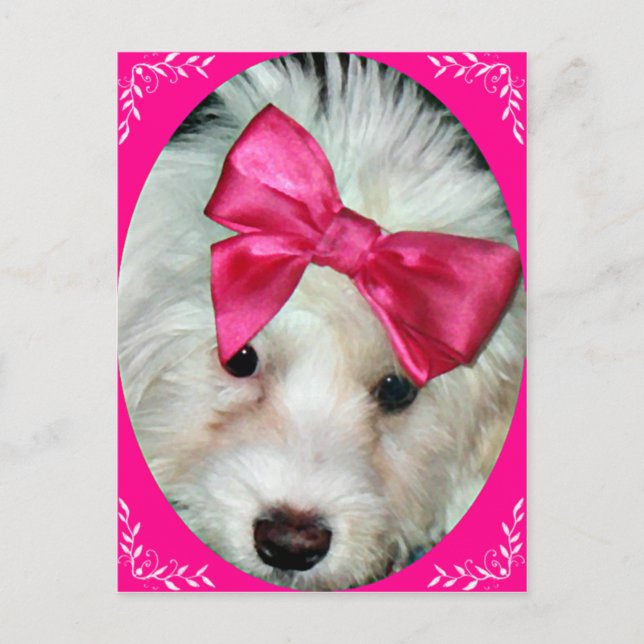 Puppy Love_ Postcard (Front)