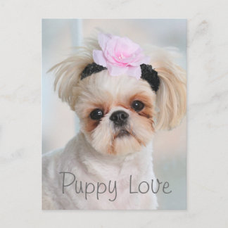Puppy Love Postcard