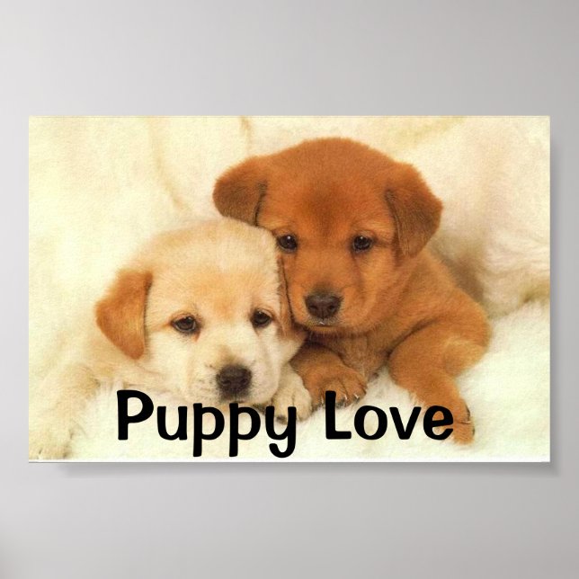 Puppy Love Poster (Front)