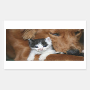 Puppy love rectangular sticker
