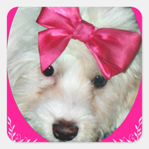 Puppy Love_ Square Sticker