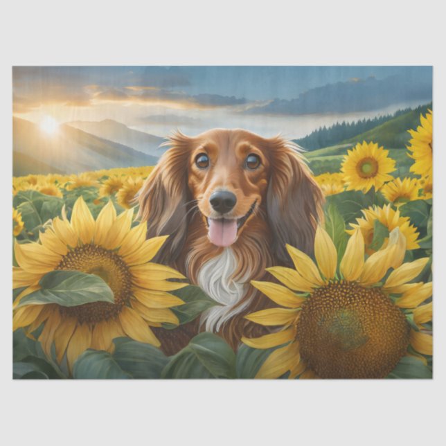Puppy Loves Sunflowers Brown Long Haired Dachshund Tissue Paper (Front)