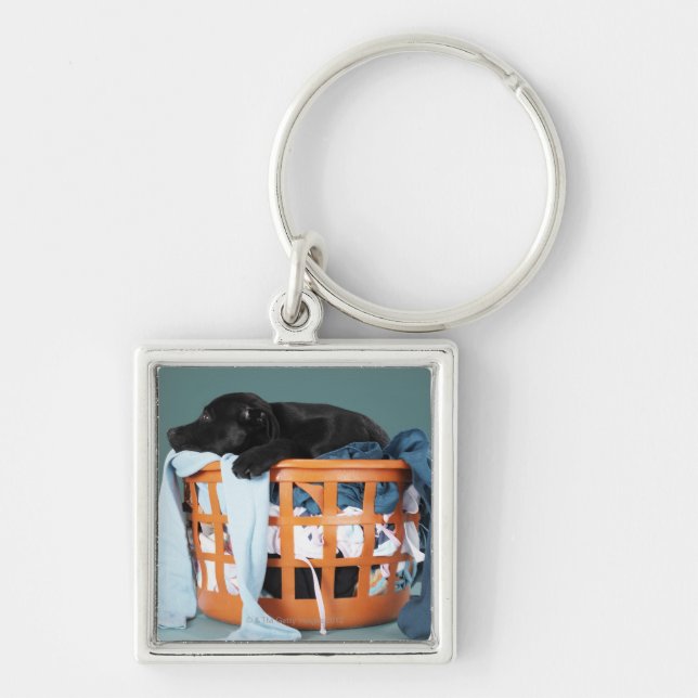 Puppy lying in laundry basket key ring (Front)