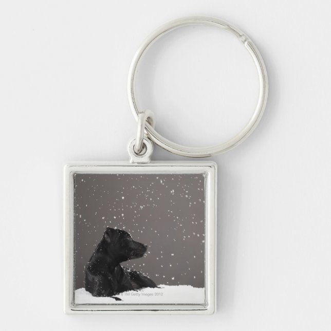 Puppy lying in snow watching snowflakes key ring (Front)