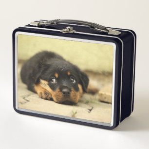 Puppy Metal Lunch Box