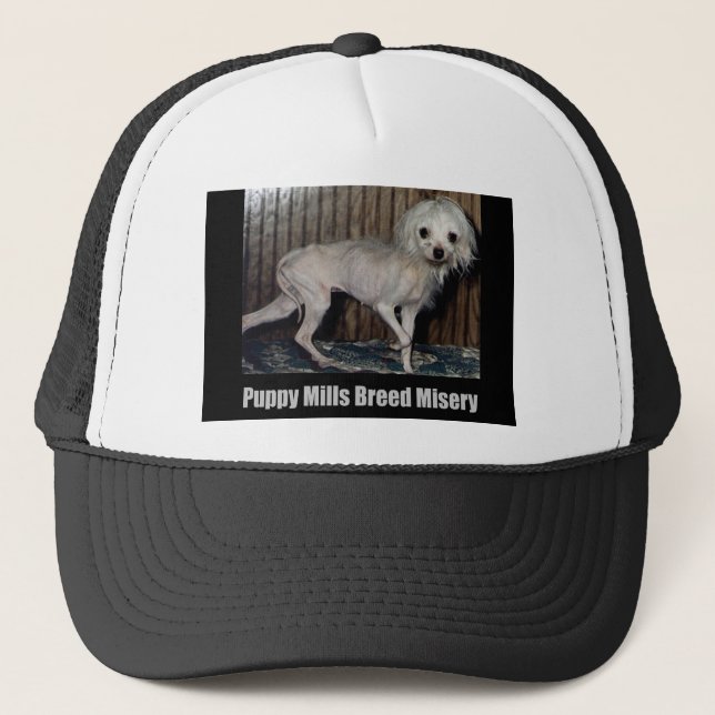 Puppy Mill Hat (Front)