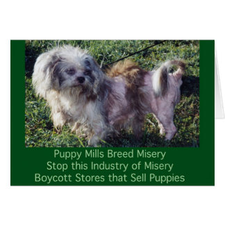 Puppy Mills Breed Misery Card