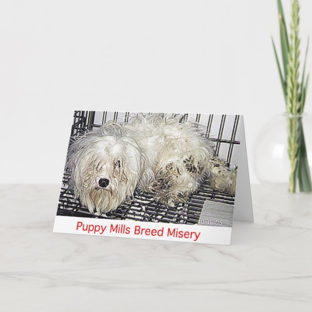 Puppy Mills Breed Misery Card (Front)