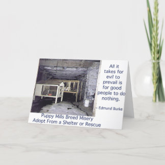 Puppy Mills Breed Misery Card