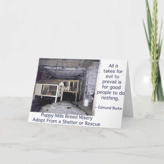 Puppy Mills Breed Misery Card (Front)