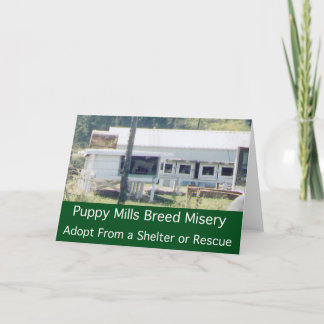 Puppy Mills Breed Misery Card