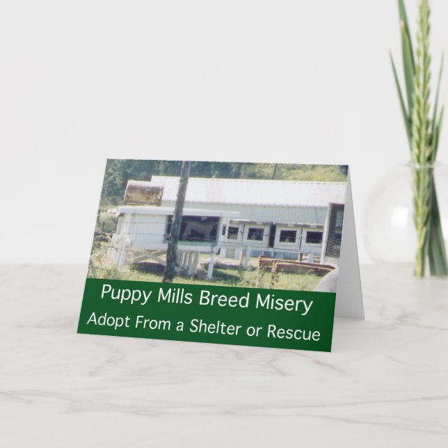 Puppy Mills Breed Misery Card (Front)