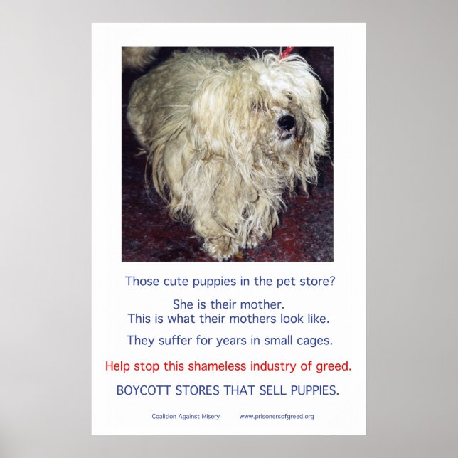 Puppy Mills Breed Misery Poster (Front)