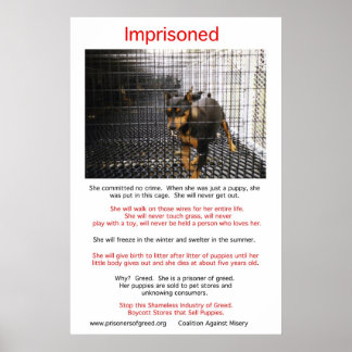 Puppy Mills Breed Misery Poster