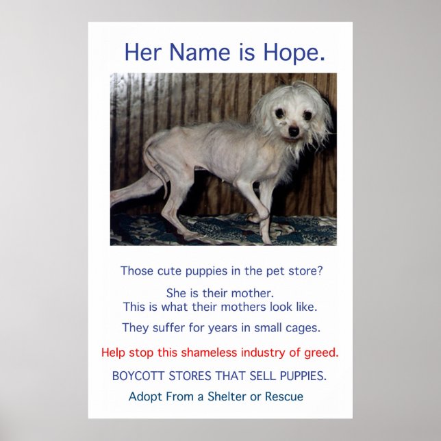 Puppy Mills Breed Misery Poster (Front)