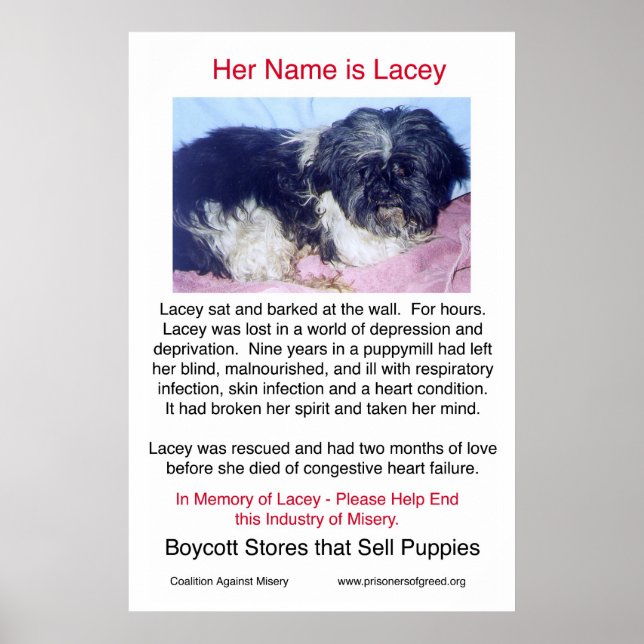 Puppy Mills Breed Misery Poster (Front)