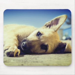 Puppy Mouse Mat