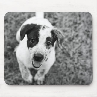 Puppy Mouse Mat