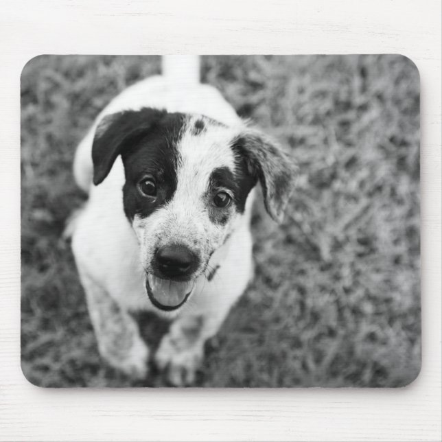 Puppy Mouse Mat (Front)