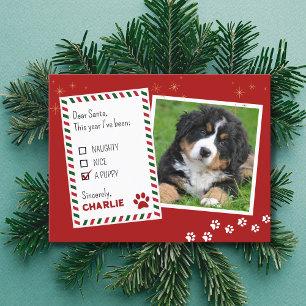 Puppy Naughty or Nice Christmas Greeting Card