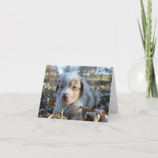Puppy Note Card