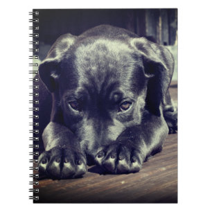 Puppy Notebook