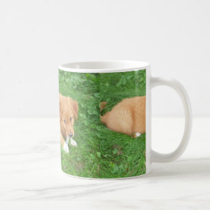 puppy nova scotia duck tolling retriever coffee mug