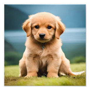 Puppy Nursery & Children's Room Prints