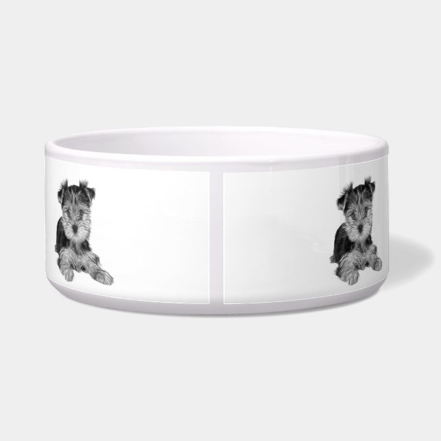 Puppy of the Yorkshire Terrier (Back)