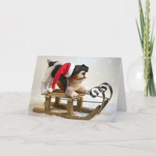 Puppy on a Sled Holiday Card