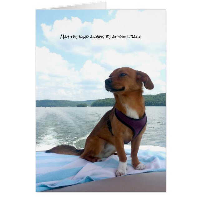 Puppy on Boat Wind at Back Sentiments (Front)