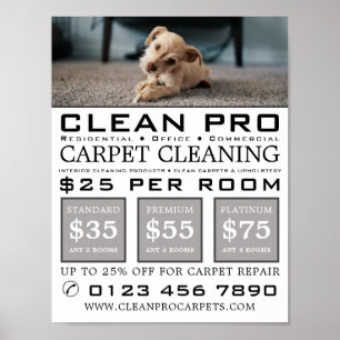 Puppy on Carpet, Carpet Cleaners, Cleaning Service Poster