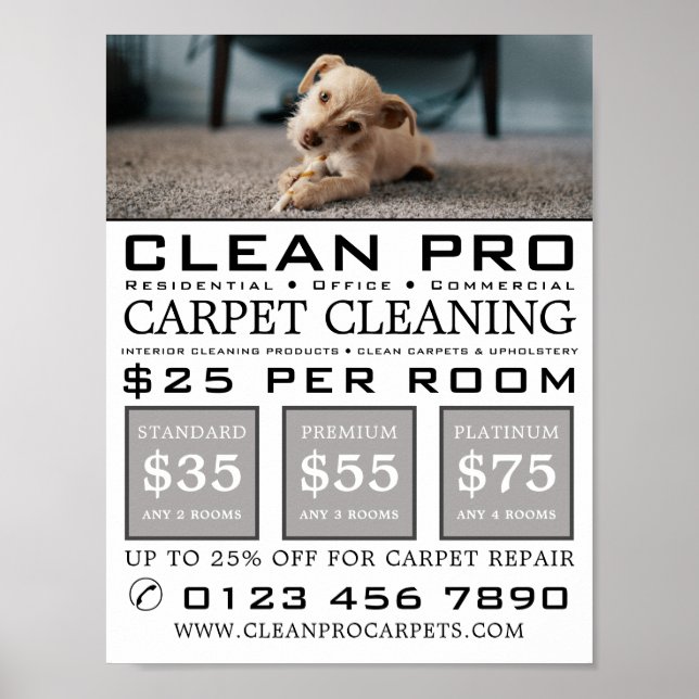 Puppy on Carpet, Carpet Cleaners, Cleaning Service Poster (Front)