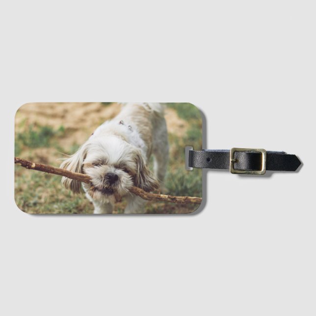 Puppy, Outdoors, Nature Luggage Tag (Front Horizontal)