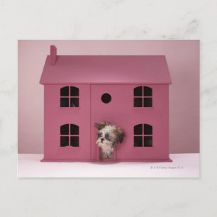 Puppy peering out of doll's house postcard