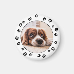 Puppy Photo Black Pawprints Magnet