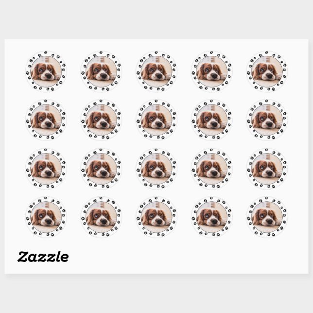 Puppy Photo Pawprints Classic Round Sticker (Sheet)
