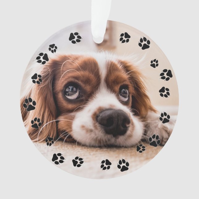 Puppy Photo Pawprints Ornament (Front)