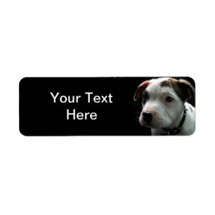 Puppy Pit Bull T-Bone