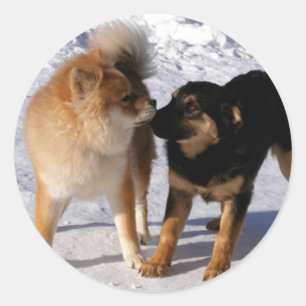 Puppy play Envelope seals
