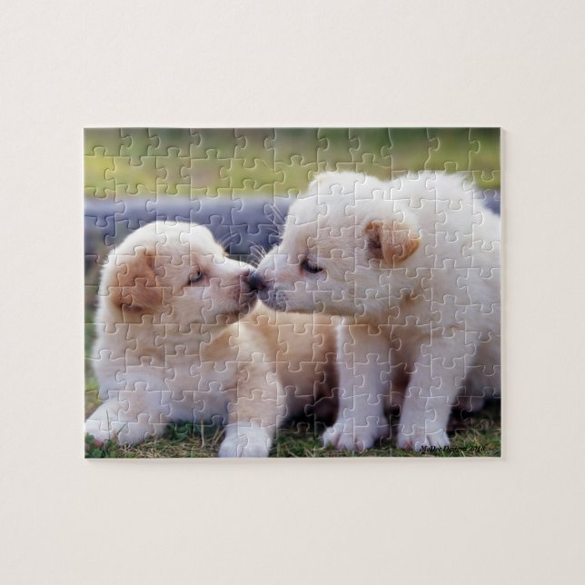 Puppy Play Jigsaw Puzzle (Horizontal)