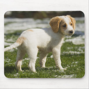 Puppy playing in the snow mouse mat