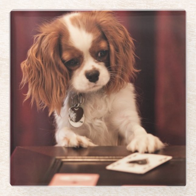Puppy Plays Cards Glass Coaster (Front)