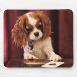 Puppy Plays Cards Mouse Mat