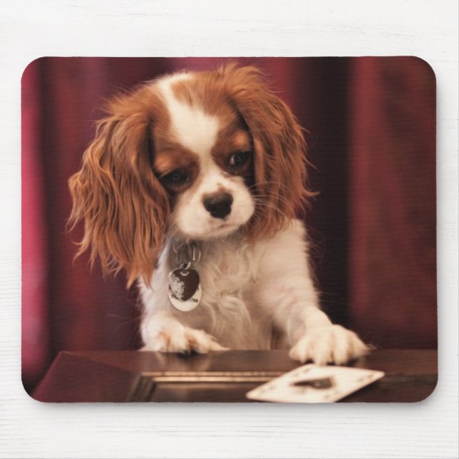Puppy Plays Cards Mouse Mat (Front)