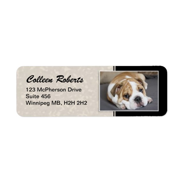 Puppy Portrait - Style 2 (Front)