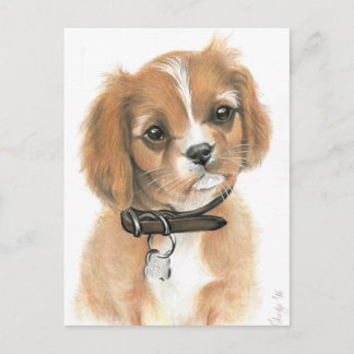 Puppy Postcard