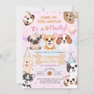 Puppy, puppies, pawty girl birthday invitation. invitation