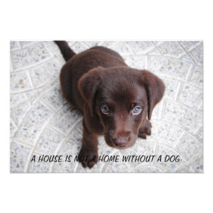 Puppy Quote Photo Print